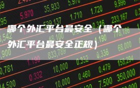 哪个外汇平台最安全（哪个外汇平台最安全正规）