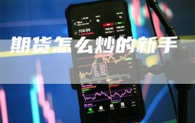期货怎么炒的新手