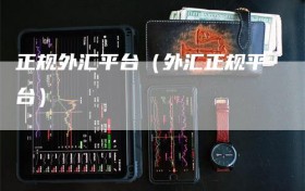 正规外汇平台（外汇正规平台）