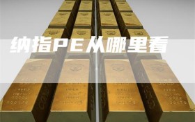 纳指PE从哪里看