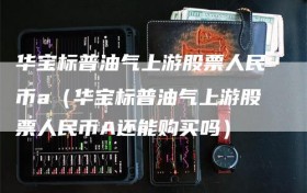 华宝标普油气上游股票人民币a（华宝标普油气上游股票人民币A还能购买吗）