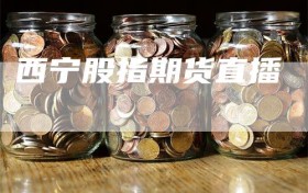 西宁股指期货直播