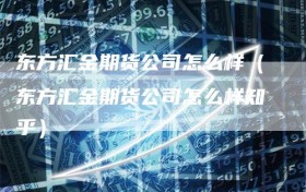 东方汇金期货公司怎么样（东方汇金期货公司怎么样知乎）