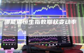 哪能查恒生指数期权变动率