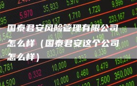 国泰君安风险管理有限公司怎么样（国泰君安这个公司怎么样）