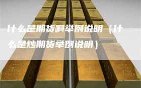 什么是期货啊举例说明（什么是炒期货举例说明）