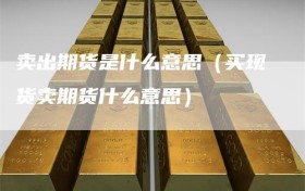 卖出期货是什么意思（买现货卖期货什么意思）