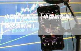 小型纳指期货（小型纳指期货交易时间）