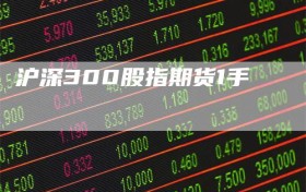 沪深300股指期货1手