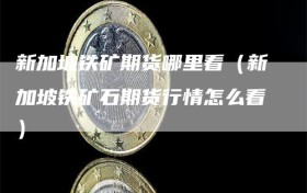 新加坡铁矿期货哪里看（新加坡铁矿石期货行情怎么看）