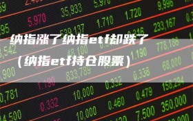 纳指涨了纳指etf却跌了（纳指etf持仓股票）