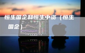 恒生国企和恒生中资（恒生 国企）