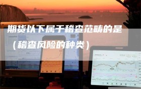 期货以下属于稽查范畴的是（稽查风险的种类）