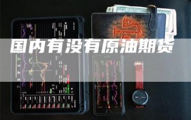 国内有没有原油期货