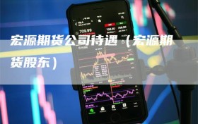 宏源期货公司待遇（宏源期货股东）