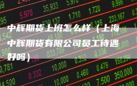 中辉期货上班怎么样（上海中辉期货有限公司员工待遇好吗）