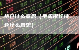 持仓什么意思（手机银行持仓什么意思）