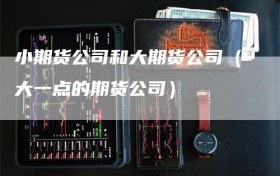 小期货公司和大期货公司（大一点的期货公司）