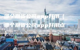 哪个期货公司app好用（哪个期货公司app好用点）