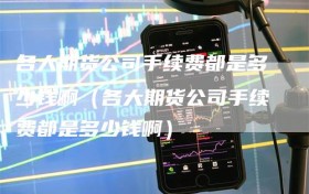 各大期货公司手续费都是多少钱啊（各大期货公司手续费都是多少钱啊）