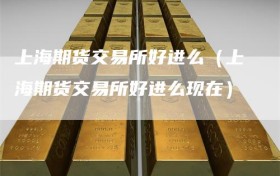 上海期货交易所好进么（上海期货交易所好进么现在）