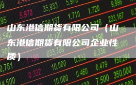 山东港信期货有限公司（山东港信期货有限公司企业性质）