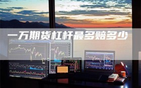 一万期货杠杆最多赔多少