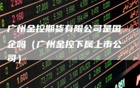 广州金控期货有限公司是国企吗（广州金控下属上市公司）