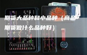 期货大品种和小品种（商品期货做什么品种好）