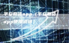 平安期货app（平安期货app使用说明）