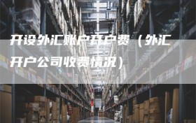 开设外汇账户开户费（外汇开户公司收费情况）