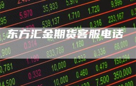 东方汇金期货客服电话