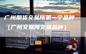 广州期货交易所第一个品种（广州交易所交易品种）