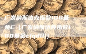广发纳斯达克指数100基金C（广发纳斯达克指数100基金c(qdll)）