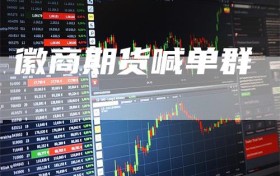 徽商期货喊单群