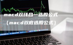 macd双线合一选股公式（macd双底选股公式）