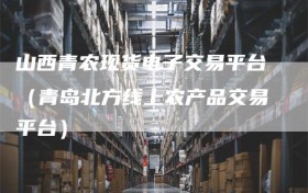 山西青农现货电子交易平台（青岛北方线上农产品交易平台）