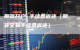 期货开户 手续费返还（期货交易手续费返还）