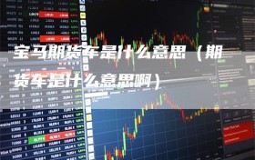 宝马期货车是什么意思（期货车是什么意思啊）