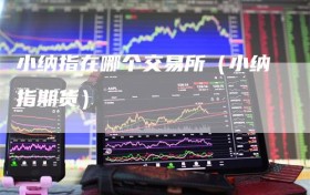 小纳指在哪个交易所（小纳指期货）