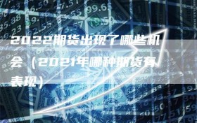 2022期货出现了哪些机会（2021年哪种期货有表现）