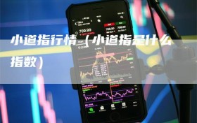 小道指行情（小道指是什么指数）