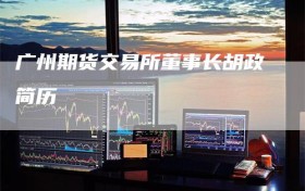 广州期货交易所董事长胡政简历