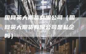 国网英大期货有限公司（国网英大期货有限公司是私企吗）