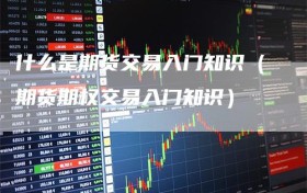 什么是期货交易入门知识（期货期权交易入门知识）