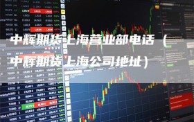 中辉期货上海营业部电话（中辉期货上海公司地址）