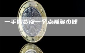 一手期货涨一个点赚多少钱