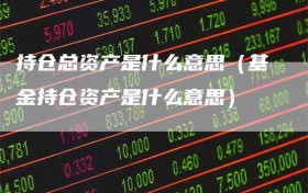 持仓总资产是什么意思（基金持仓资产是什么意思）