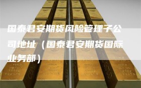 国泰君安期货风险管理子公司地址（国泰君安期货国际业务部）