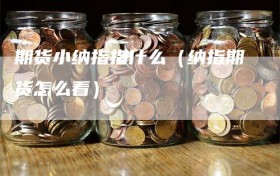 期货小纳指指什么（纳指期货怎么看）